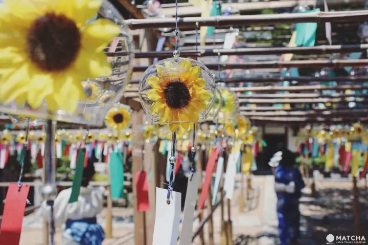 京都正壽院的風鈴祭