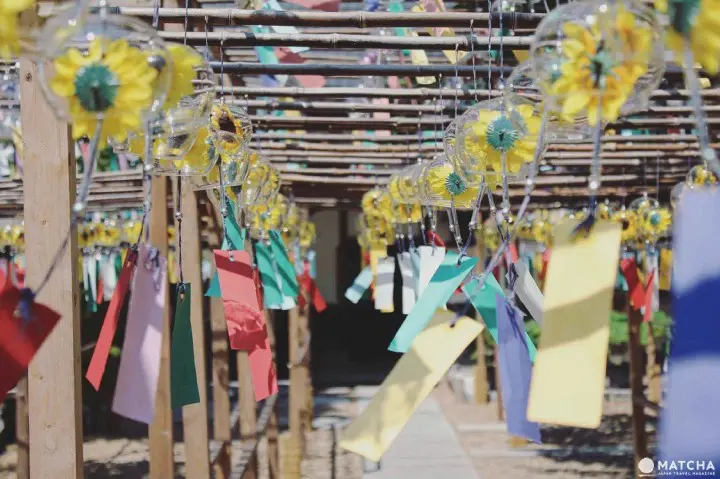 京都正壽院的風鈴祭