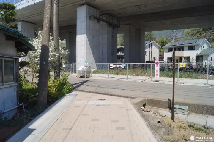 富士山・桜・五重塔が揃った“The Japan”な絶景スポット「忠霊塔」の楽しみ方