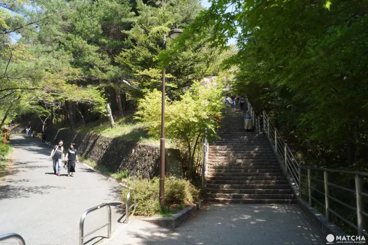 富士山・桜・五重塔が揃った“The Japan”な絶景スポット「忠霊塔」の楽しみ方