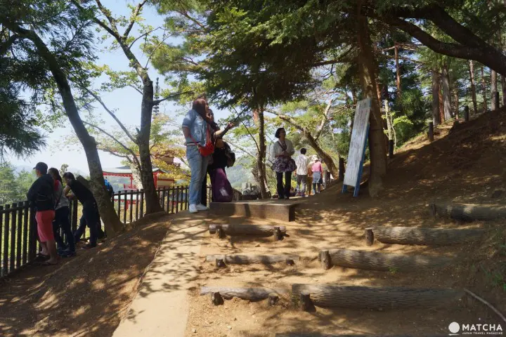 富士山・桜・五重塔が揃った“The Japan”な絶景スポット「忠霊塔」の楽しみ方