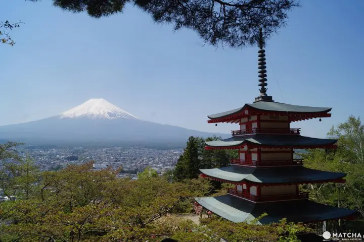 富士山・桜・五重塔が揃った“The Japan”な絶景スポット「忠霊塔」の楽しみ方