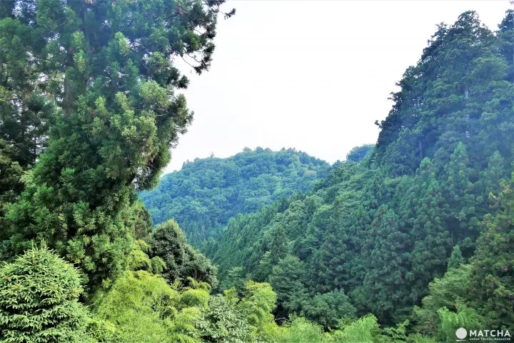 ベランダからの風景