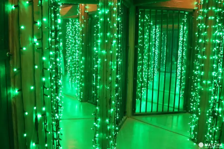 世界唯一一个的帕丁顿熊主题乐园已在相模湖森林游乐园开幕！机动游戏、烧烤场、温泉设施齐备，最适合一家大小来玩了！