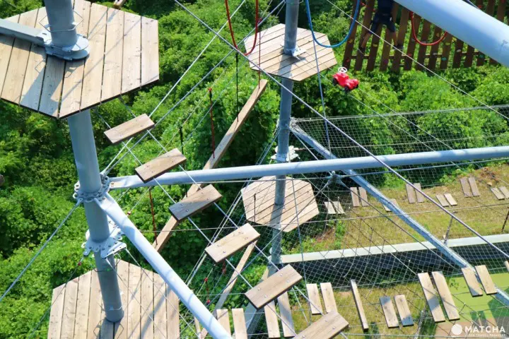 世界唯一一个的柏灵顿熊主题乐园已在相模湖森林游乐园开幕！机动游戏、烧烤场、温泉设施齐备，最适合一家大小来玩了！