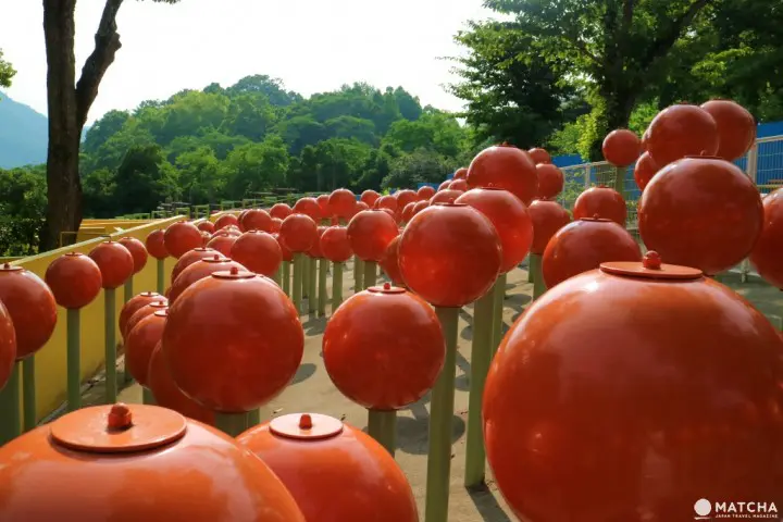 世界唯一一个的柏灵顿熊主题乐园已在相模湖森林游乐园开幕！机动游戏、烧烤场、温泉设施齐备，最适合一家大小来玩了！