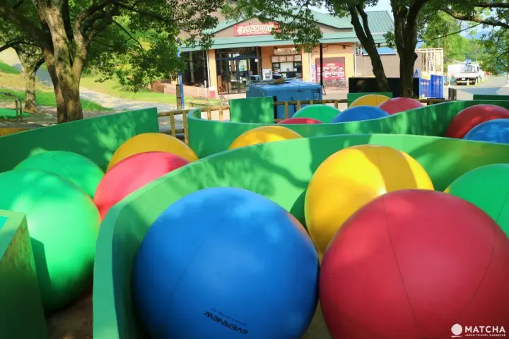 世界唯一一个的柏灵顿熊主题乐园已在相模湖森林游乐园开幕！机动游戏、烧烤场、温泉设施齐备，最适合一家大小来玩了！