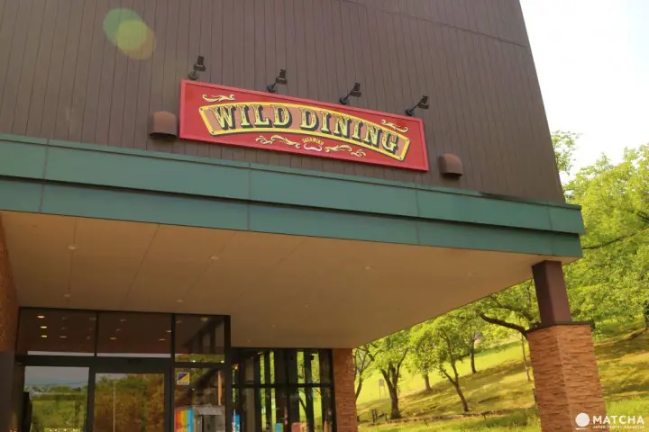 世界唯一一个的柏灵顿熊主题乐园已在相模湖森林游乐园开幕！机动游戏、烧烤场、温泉设施齐备，最适合一家大小来玩了！