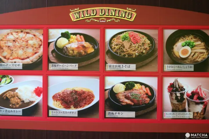 世界唯一一个的柏灵顿熊主题乐园已在相模湖森林游乐园开幕！机动游戏、烧烤场、温泉设施齐备，最适合一家大小来玩了！