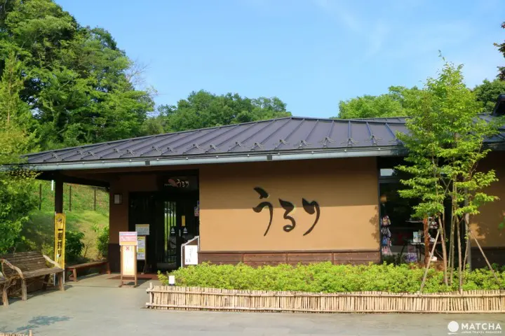 世界唯一一个的柏灵顿熊主题乐园已在相模湖森林游乐园开幕！机动游戏、烧烤场、温泉设施齐备，最适合一家大小来玩了！