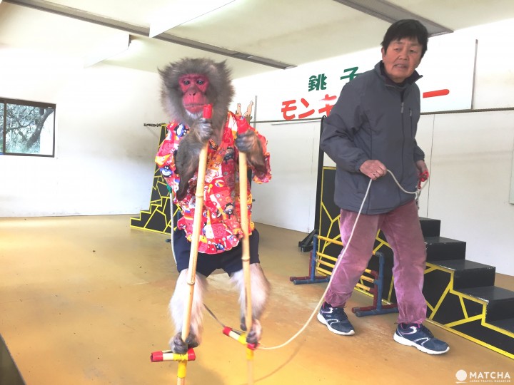 观光巴士一日券 轻松游小豆岛