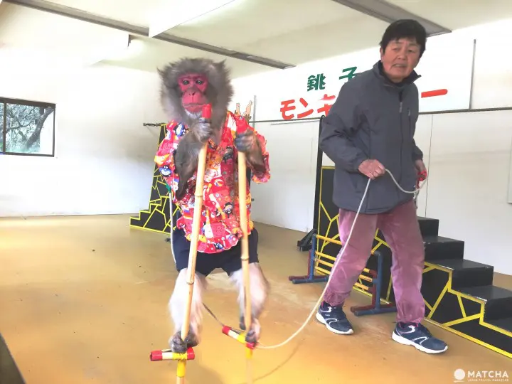 观光巴士一日券 轻松游小豆岛