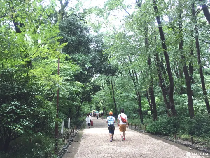 跟着绫濑遥穿越时空踏访京都