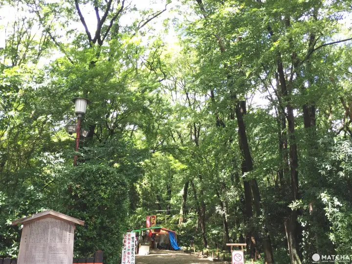 跟着绫濑遥穿越时空踏访京都