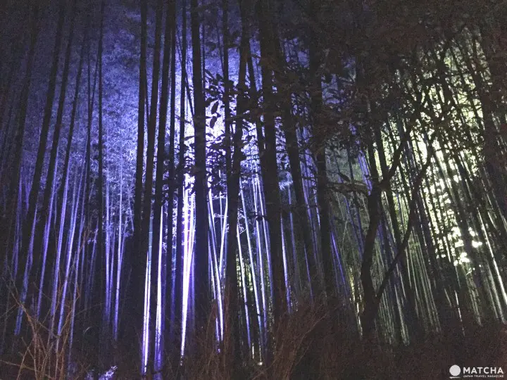 跟着绫濑遥穿越时空踏访京都