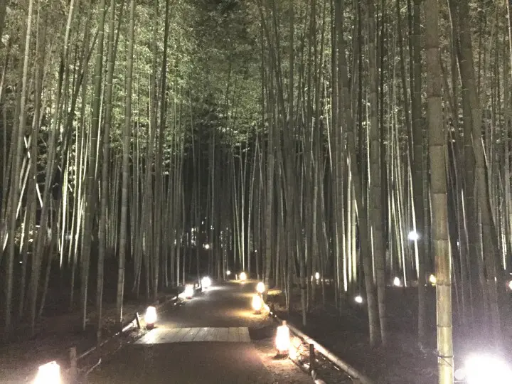 跟着绫濑遥穿越时空踏访京都