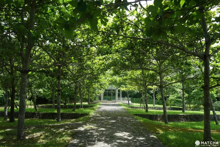 Banna Park in Ishigaki - Okinawa's Breathtaking Forest With Ocean View