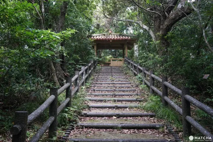 Banna Park in Ishigaki - Okinawa's Breathtaking Forest With Ocean View