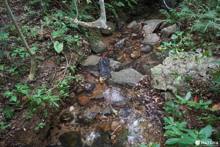 Banna Park in Ishigaki - Okinawa's Breathtaking Forest With Ocean View