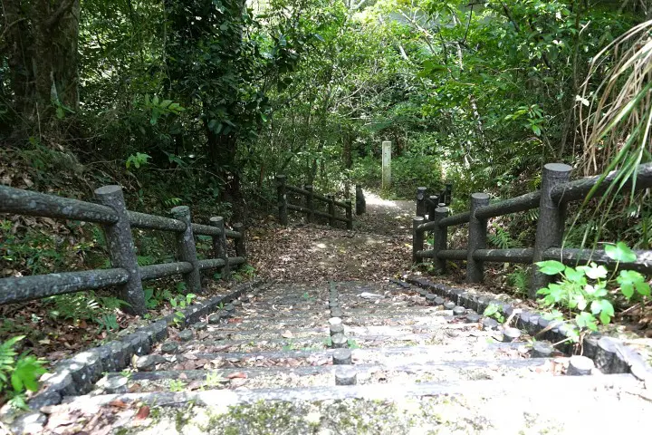 Banna Park in Ishigaki - Okinawa's Breathtaking Forest With Ocean View