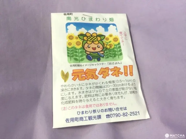 34万株向日葵绽放 兵库县黄橙花毯美不胜收