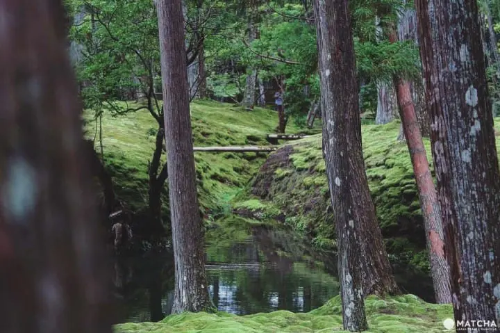 世界文化遗产京都西芳寺