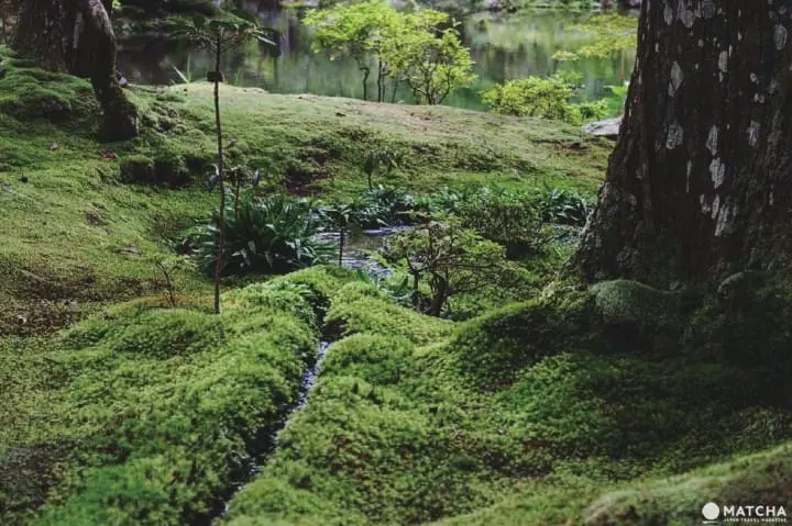 世界文化遗产京都西芳寺