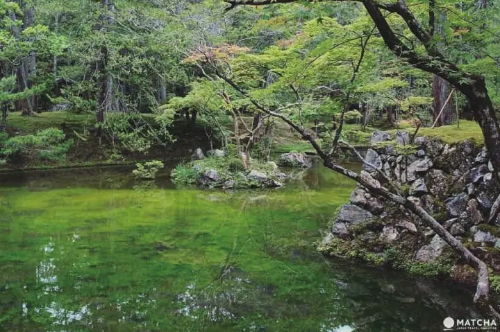 世界文化遗产京都西芳寺