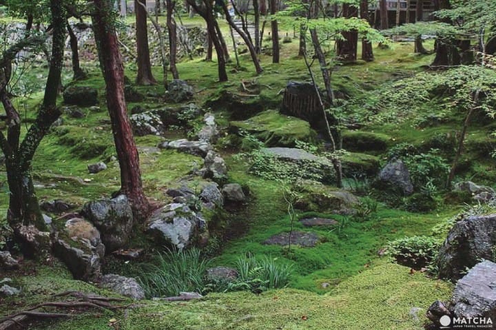 京都西芳寺