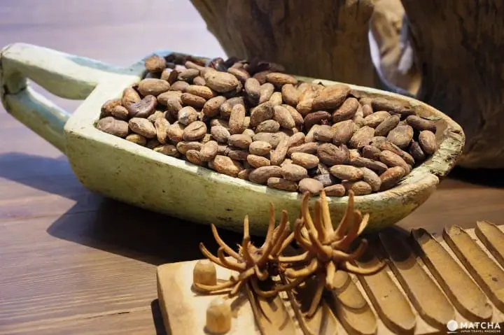 清澄白河Artichoke chocolate 可可