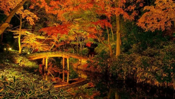 Autumn In Tokyo: Seasonal Activities, Weather And What To Wear