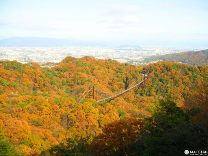 Ingin Menikmati Pemandangan saat Musim Gugur di Osaka? Ini Dia 10 Tempatnya!