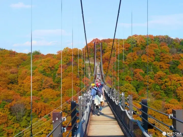 Ingin Menikmati Pemandangan saat Musim Gugur di Osaka? Ini Dia 10 Tempatnya!