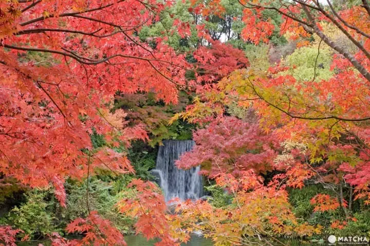 Ingin Menikmati Pemandangan saat Musim Gugur di Osaka? Ini Dia 10 Tempatnya!