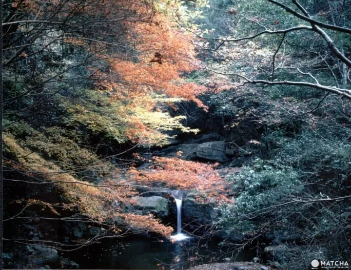 Ingin Menikmati Pemandangan saat Musim Gugur di Osaka? Ini Dia 10 Tempatnya!