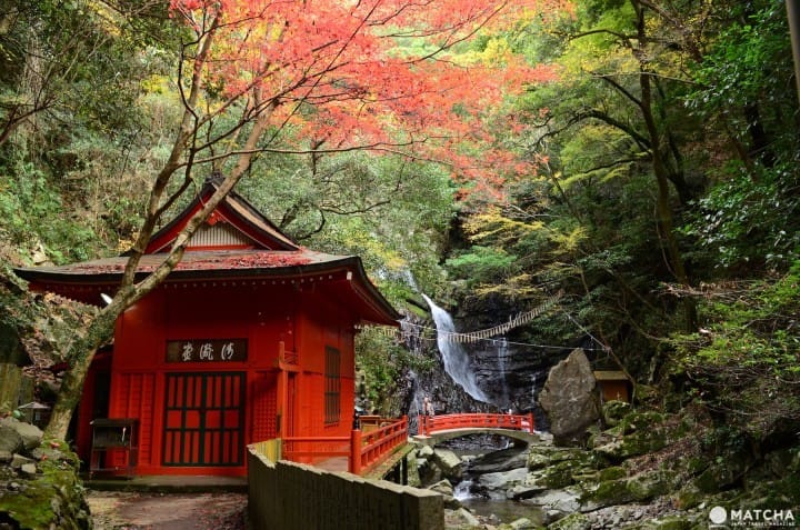 Ingin Menikmati Pemandangan saat Musim Gugur di Osaka? Ini Dia 10 Tempatnya!