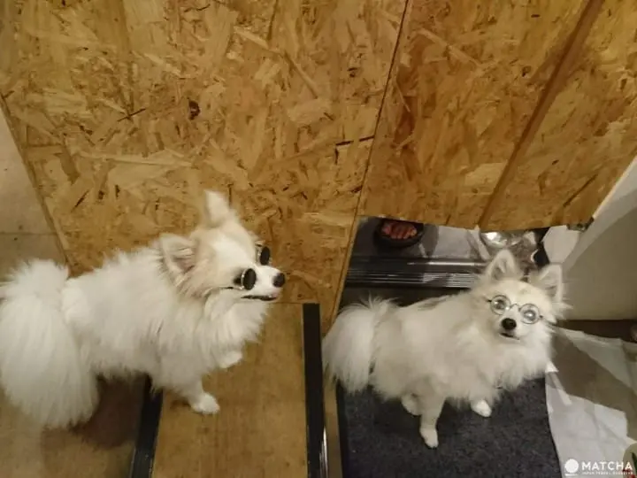 【涩谷】用红酒杯干杯的日本酒！个性清酒立饮酒吧