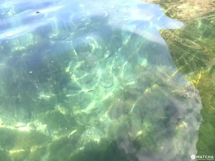 下望25公尺海底世界 『鳥取』浦富海岸獨木舟攻略