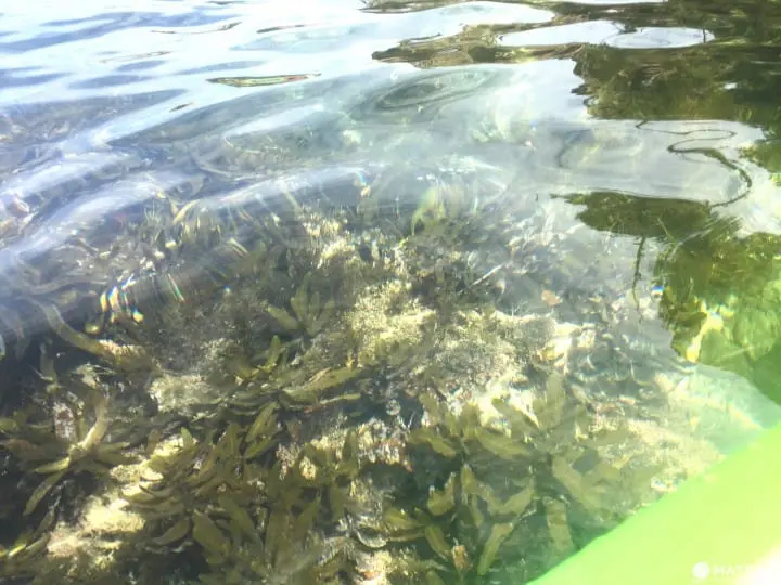 下望25公尺海底世界 『鳥取』浦富海岸獨木舟攻略