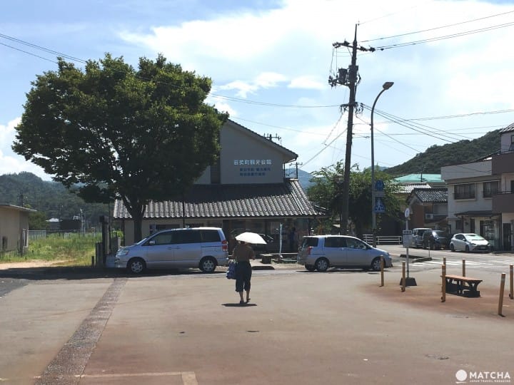 下望25公尺海底世界 『鳥取』浦富海岸獨木舟攻略