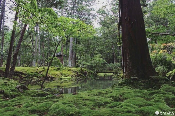 世界文化遺產京都西芳寺