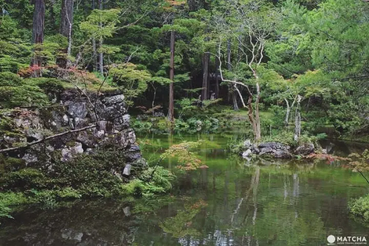 世界文化遗产京都苔寺