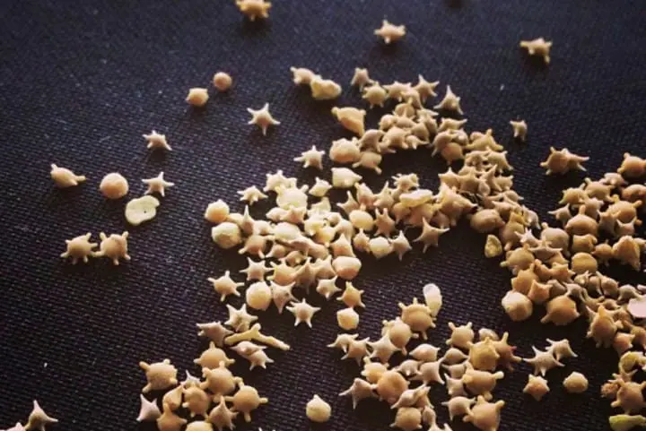 竹富岛观光行程：简介、交通、观光活动5选