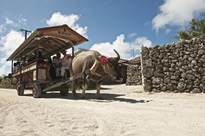 竹富岛观光行程：简介、交通、观光活动5选