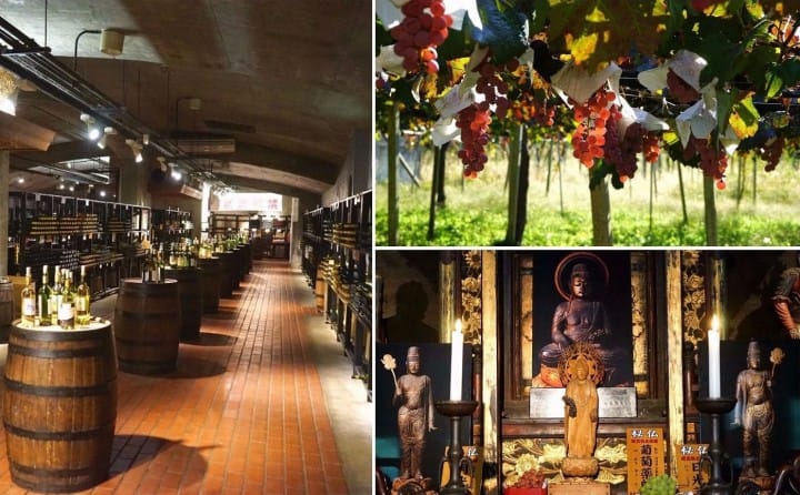 Discover Japan's Wine Culture In Koshu - With The JR TOKYO Wide Pass
