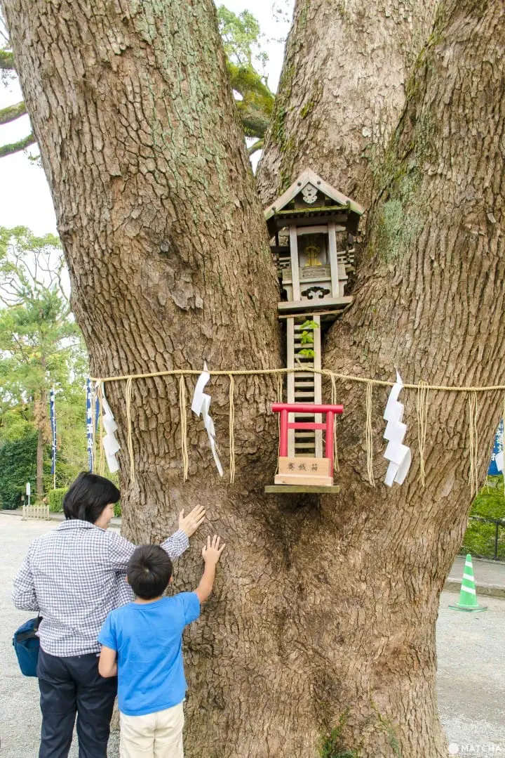 【加藤神社】前往熊本城，一访祭祀战国名将之神社