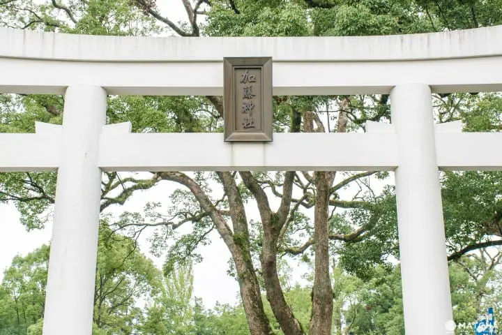 【加藤神社】前往熊本城，一访祭祀战国名将之神社