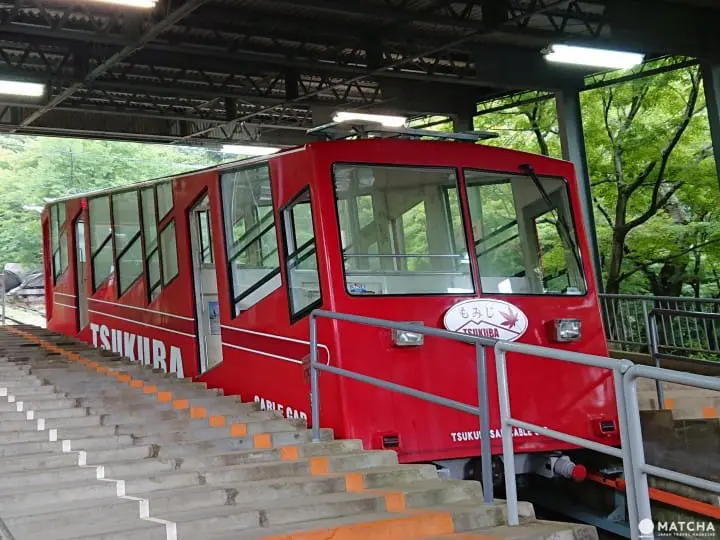 【茨城】茨城必去的5個代表景點 牛久大佛、鹿島神宮、筑波神社、袋田瀑布、偕樂園 