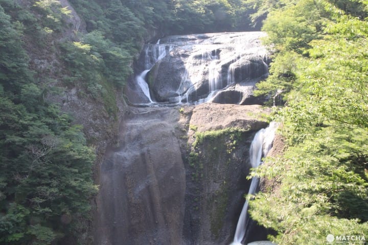 【茨城】茨城必去的5個代表景點 牛久大佛、鹿島神宮、筑波神社、袋田瀑布、偕樂園