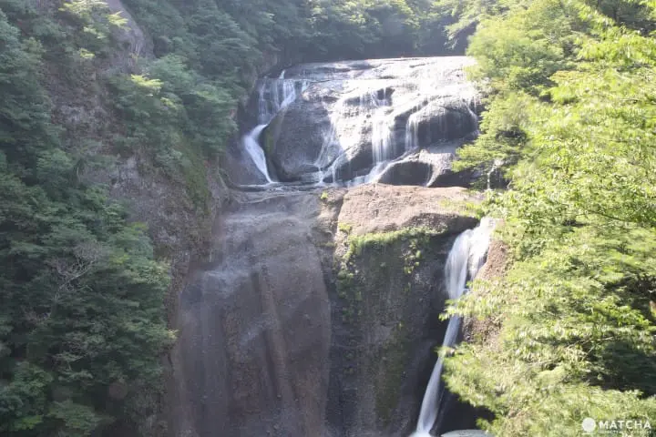 【茨城】茨城必去的5個代表景點 牛久大佛、鹿島神宮、筑波神社、袋田瀑布、偕樂園 